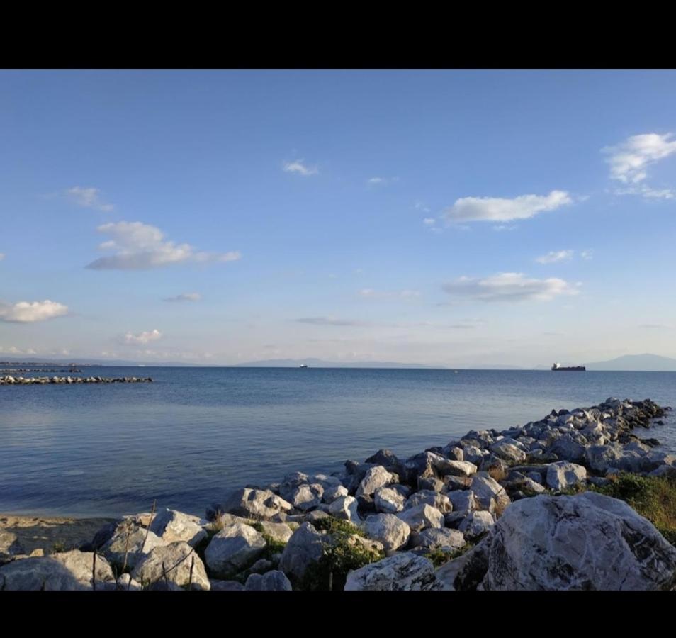 Alkistis House Villa Volos Eksteriør bilde