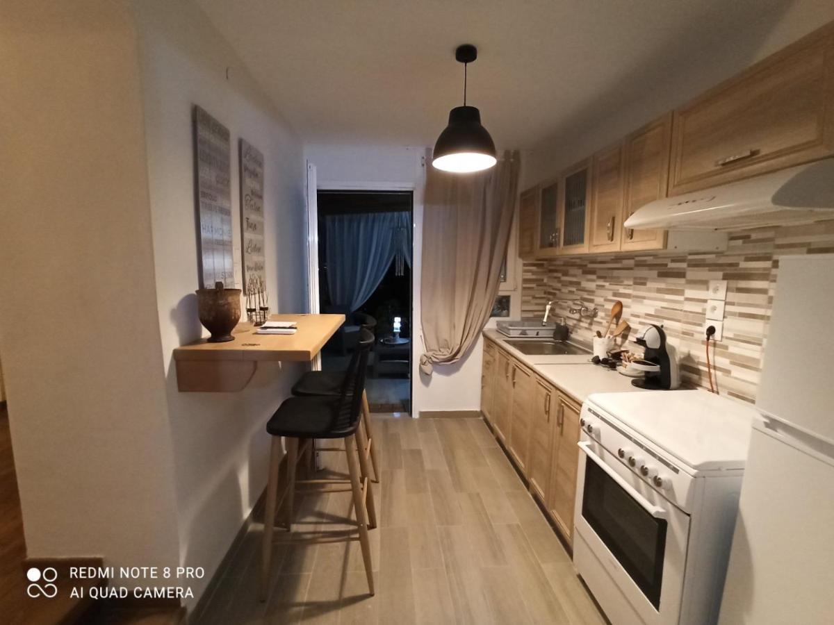 Alkistis House Villa Volos Eksteriør bilde