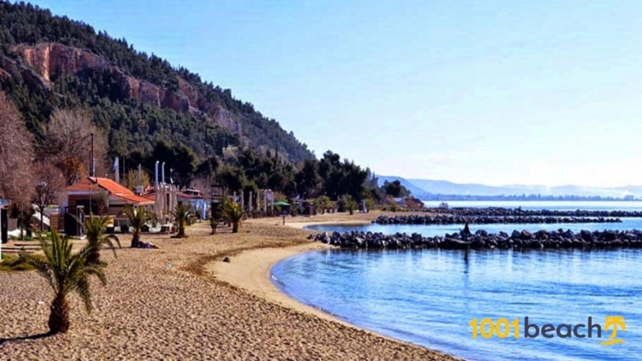 Alkistis House Villa Volos Eksteriør bilde