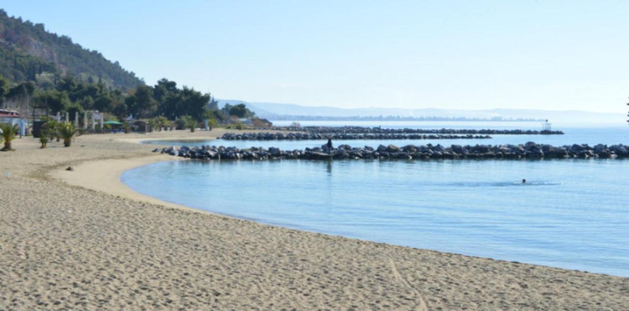 Alkistis House Villa Volos Eksteriør bilde